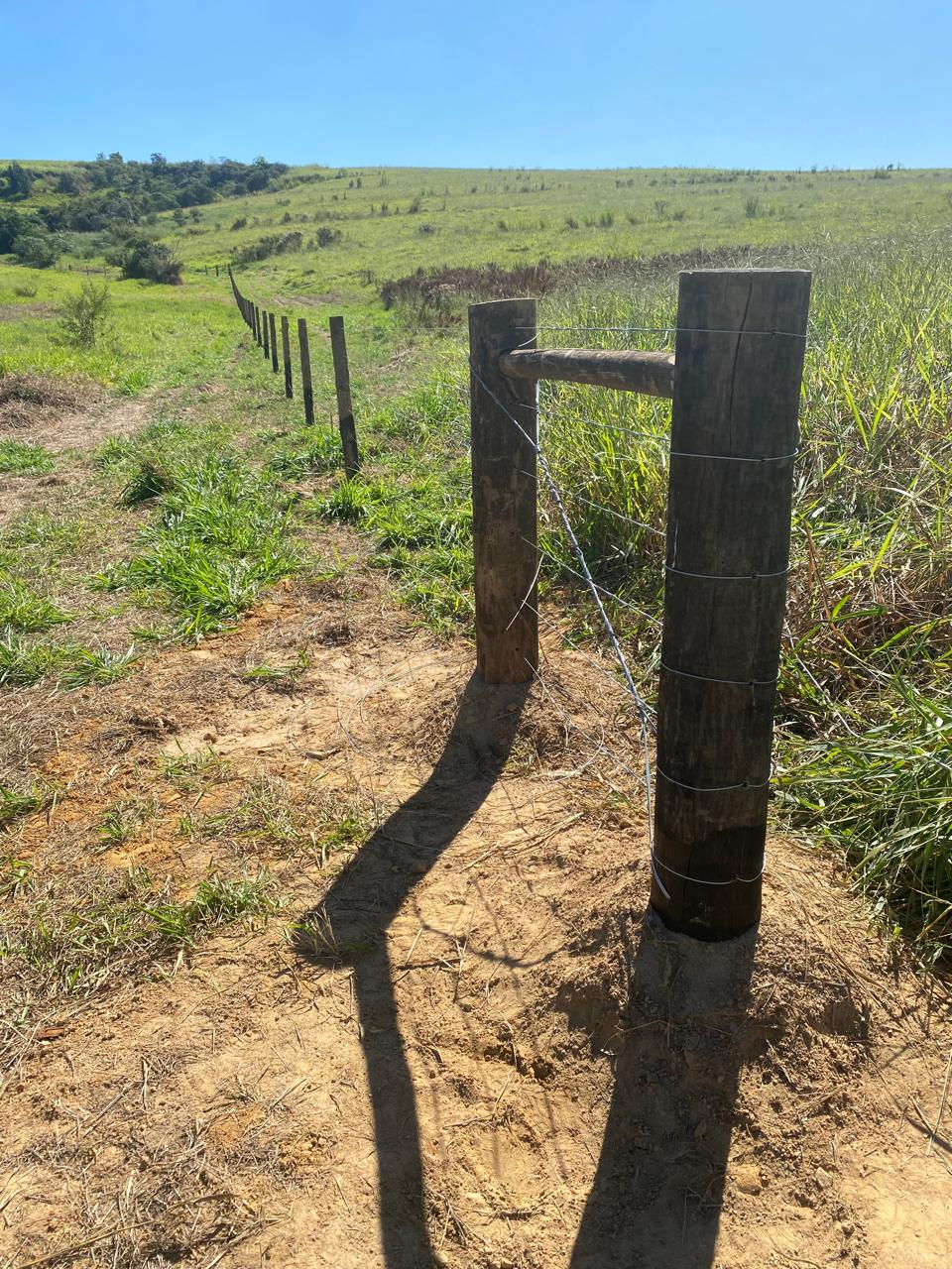 Aplicação de madeira tratada em propriedade rural
